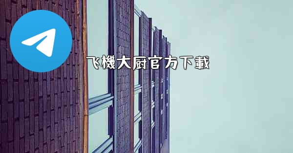 飞機大厨官方下載