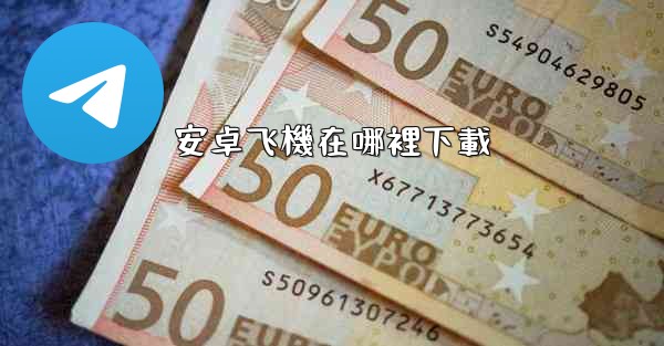 安卓飞機在哪裡下載