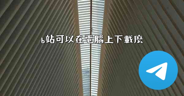 b站可以在電腦上下載麼