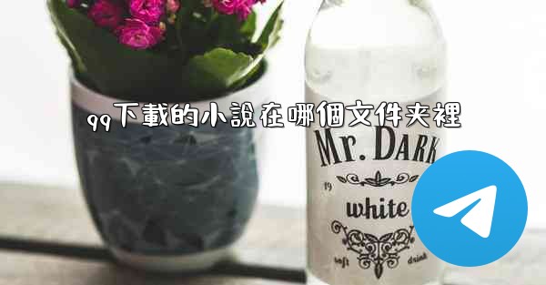 qq下載的小說在哪個文件夹裡