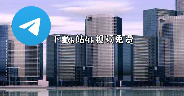 下載b站4k视频免费