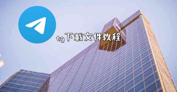 tg下載文件教程