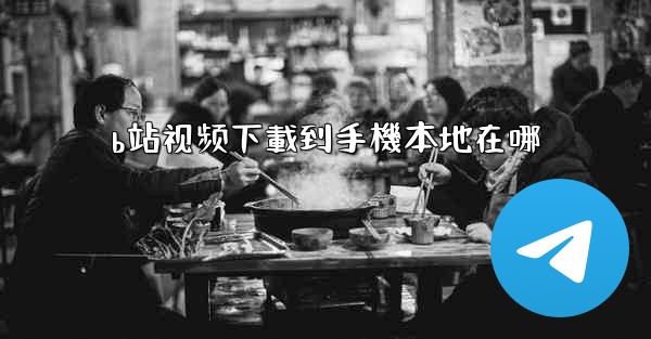 b站视频下載到手機本地在哪