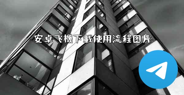 安卓飞機下載使用流程图片