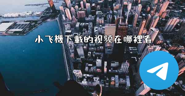 小飞機下載的视频在哪裡看
