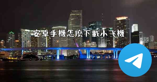 安卓手機怎麼下載小飞機