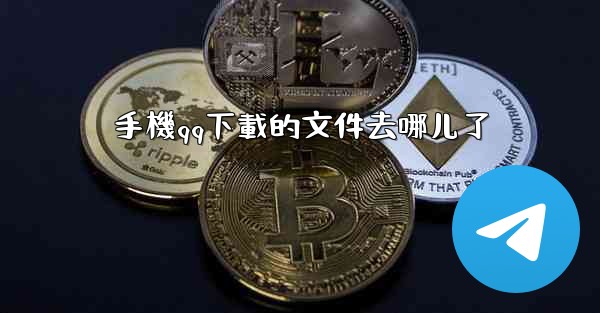 手機qq下載的文件去哪儿了