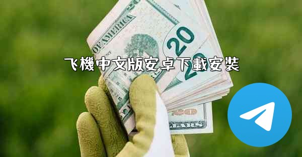 飞機中文版安卓下載安裝