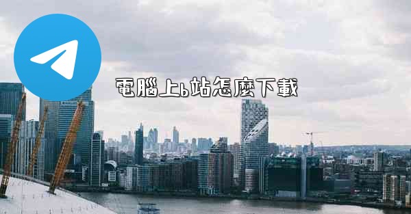 電腦上b站怎麼下載