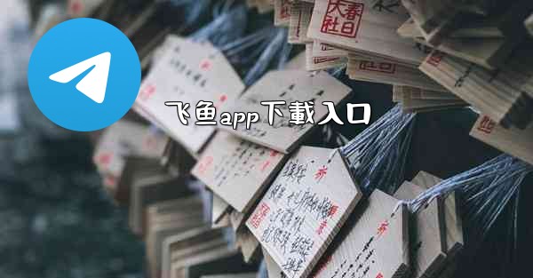 飞鱼app下載入口