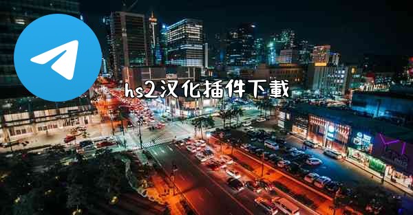 hs2汉化插件下載