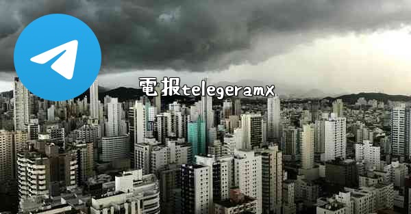 電报telegeramx