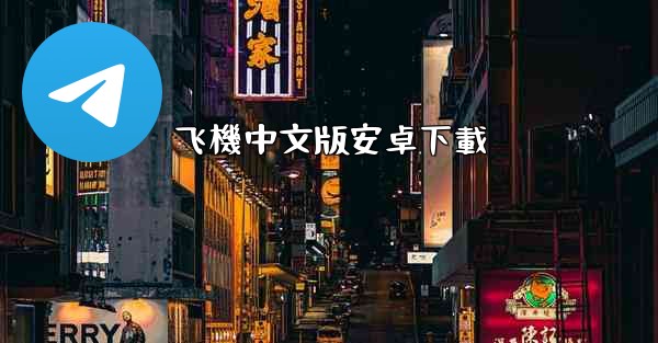 飞機中文版安卓下載