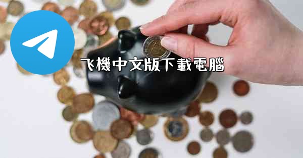 <b>飞機中文版下載電腦</b>