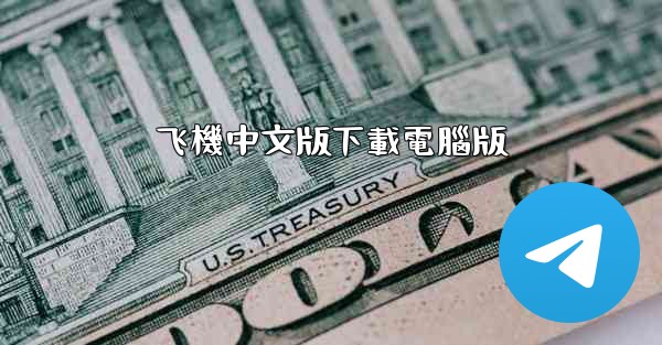 飞機中文版下載電腦版