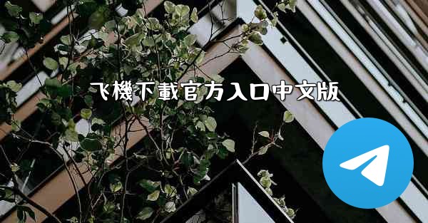 飞機下載官方入口中文版