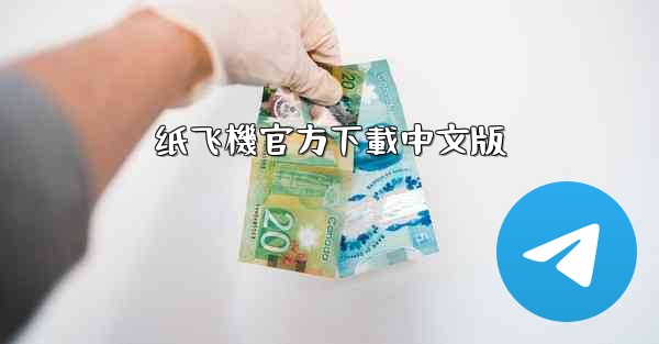 纸飞機官方下載中文版