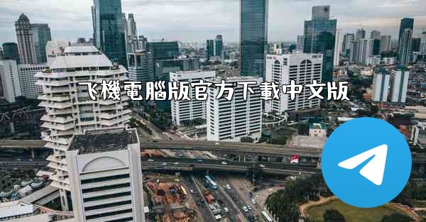 飞機電腦版官方下載中文版