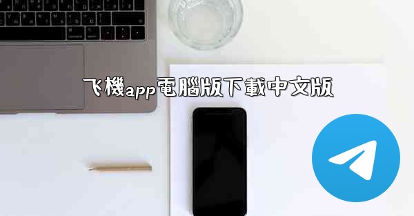 飞機app電腦版下載中文版