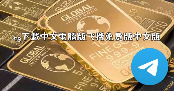 tg下載中文電腦版飞機免费版中文版