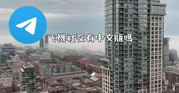 飞機社交有中文版嗎