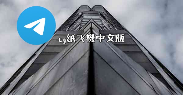 tg纸飞機中文版