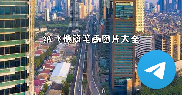 纸飞機簡笔画图片大全