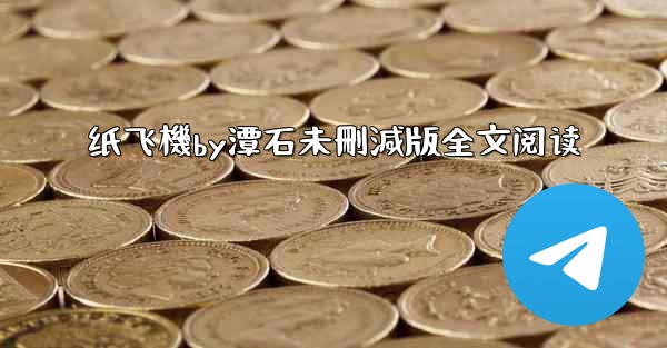 纸飞機by潭石未刪減版全文阅读