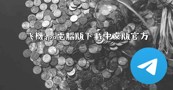 飞機app電腦版下載中文版官方