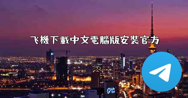 飞機下載中文電腦版安裝官方