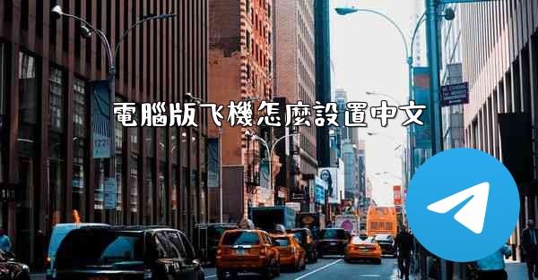 電腦版飞機怎麼設置中文