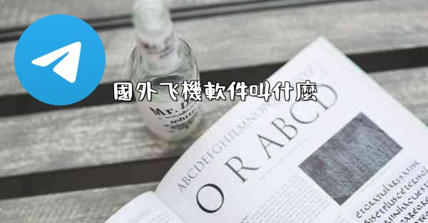 國外飞機軟件叫什麼