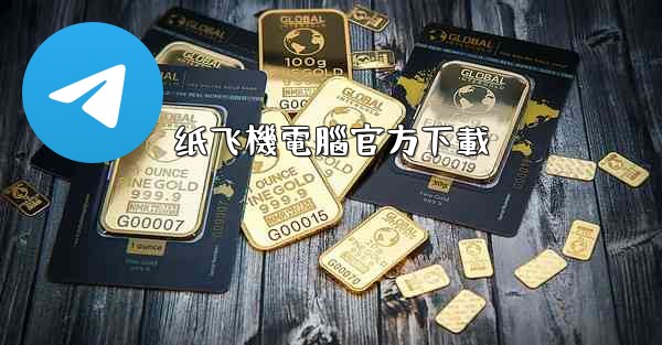 纸飞機電腦官方下載