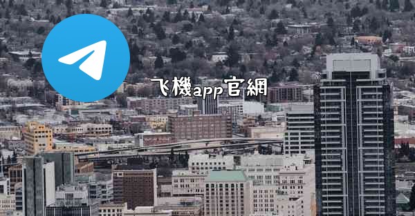 飞機app官網