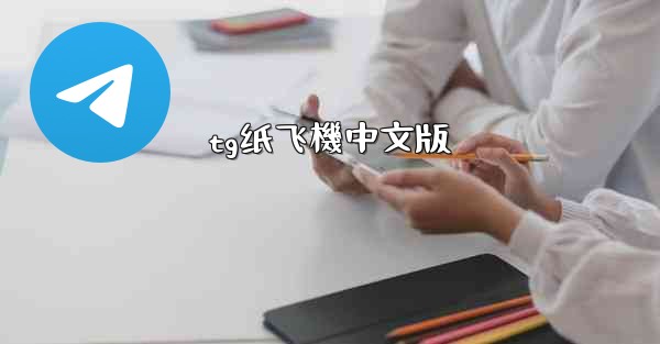 tg纸飞機中文版
