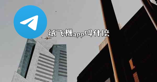 纸飞機app叫什麼