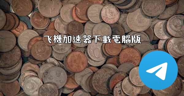 飞機加速器下載電腦版