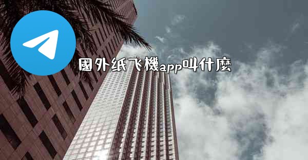 國外纸飞機app叫什麼