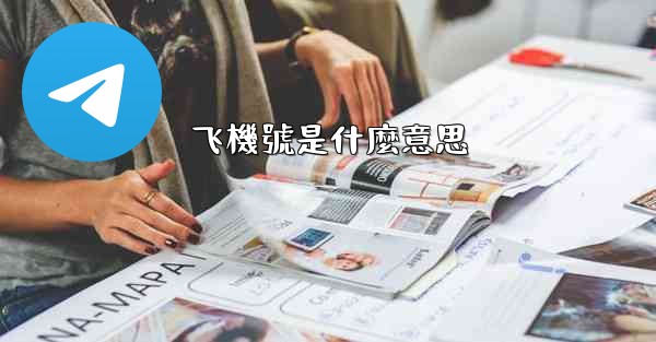 飞機號是什麼意思
