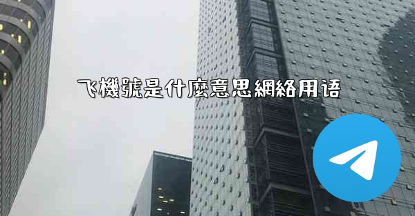 飞機號是什麼意思網絡用语