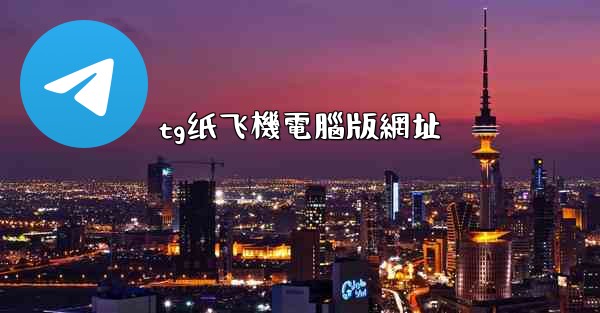 tg纸飞機電腦版網址