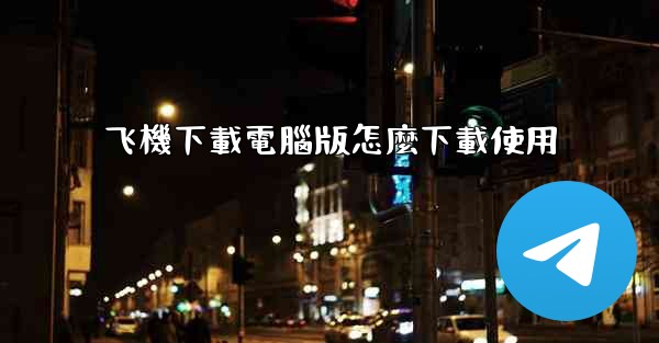 飞機下載電腦版怎麼下載使用