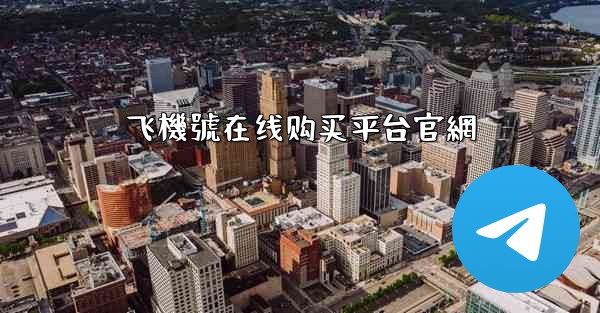 飞機號在线购买平台官網