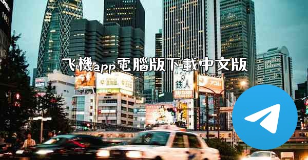 飞機app電腦版下載中文版