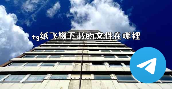 tg纸飞機下載的文件在哪裡