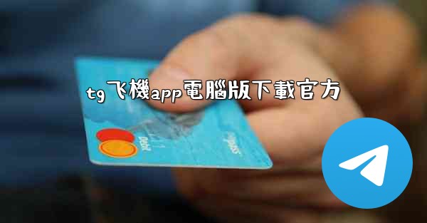 tg飞機app電腦版下載官方