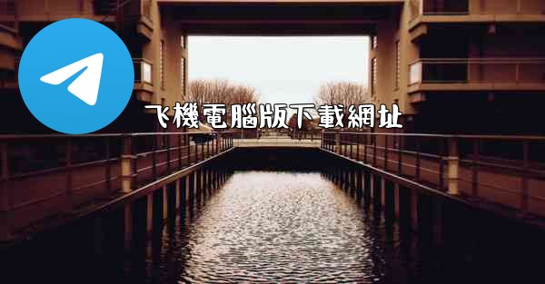 飞機電腦版下載網址