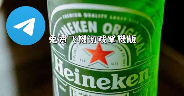免费飞機游戏單機版