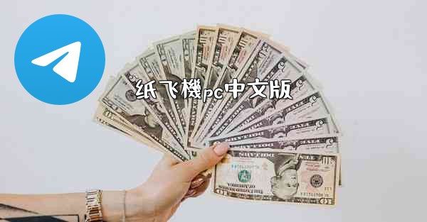 纸飞機pc中文版