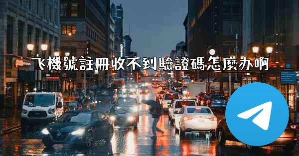 飞機號註冊收不到驗證碼怎麼办啊
